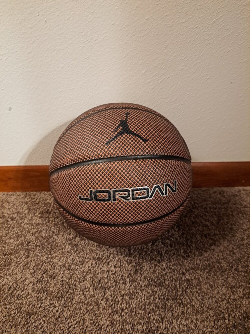 Jordan-Air Jordan Legacy 8P Swoosh Basketball